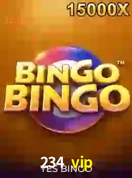 bingobingo